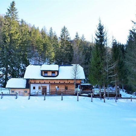 Ferienhaus Dirnbacher Huette Hotel Turnau Kültér fotó