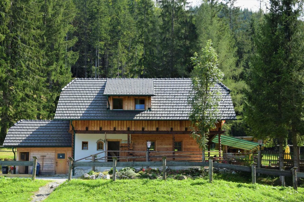 Ferienhaus Dirnbacher Huette Hotel Turnau Kültér fotó