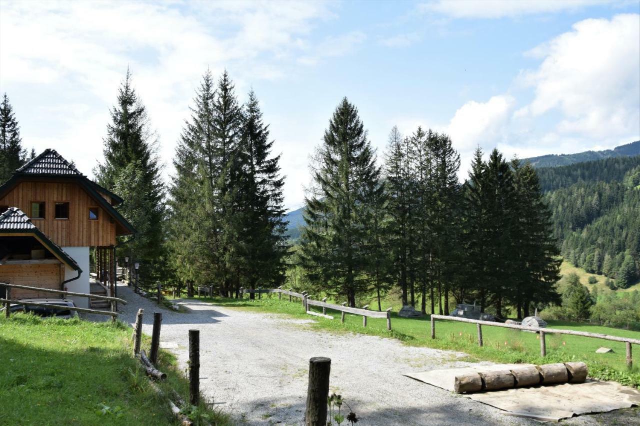 Ferienhaus Dirnbacher Huette Hotel Turnau Kültér fotó