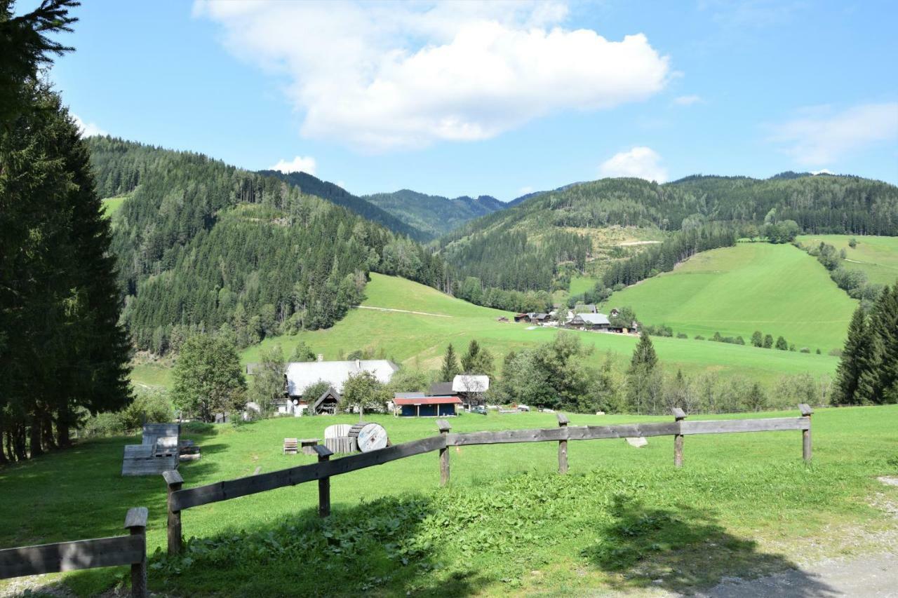 Ferienhaus Dirnbacher Huette Hotel Turnau Kültér fotó