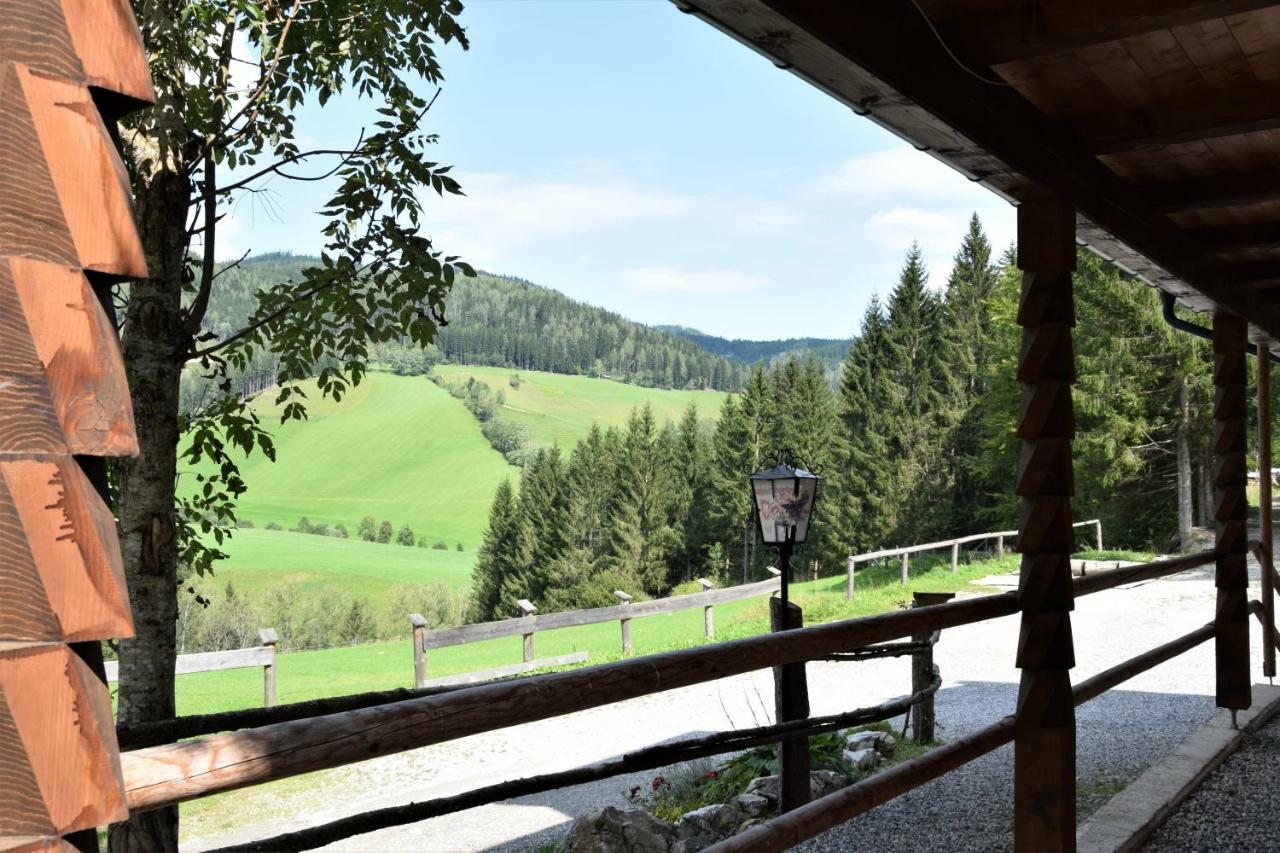 Ferienhaus Dirnbacher Huette Hotel Turnau Kültér fotó