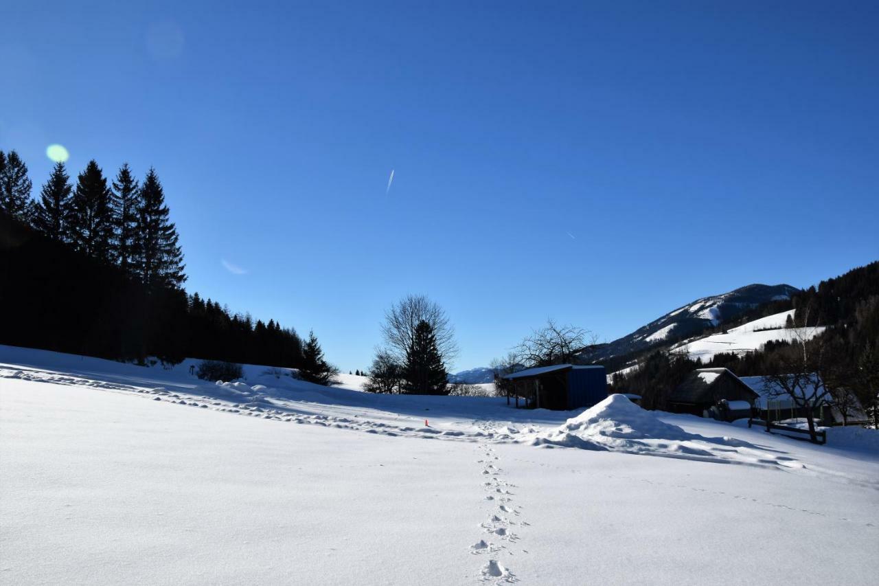 Ferienhaus Dirnbacher Huette Hotel Turnau Kültér fotó