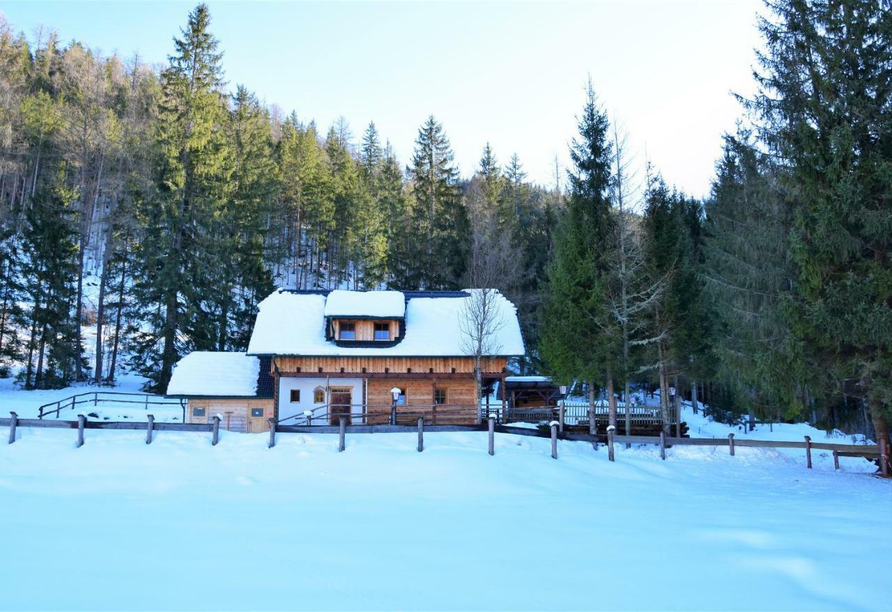 Ferienhaus Dirnbacher Huette Hotel Turnau Kültér fotó