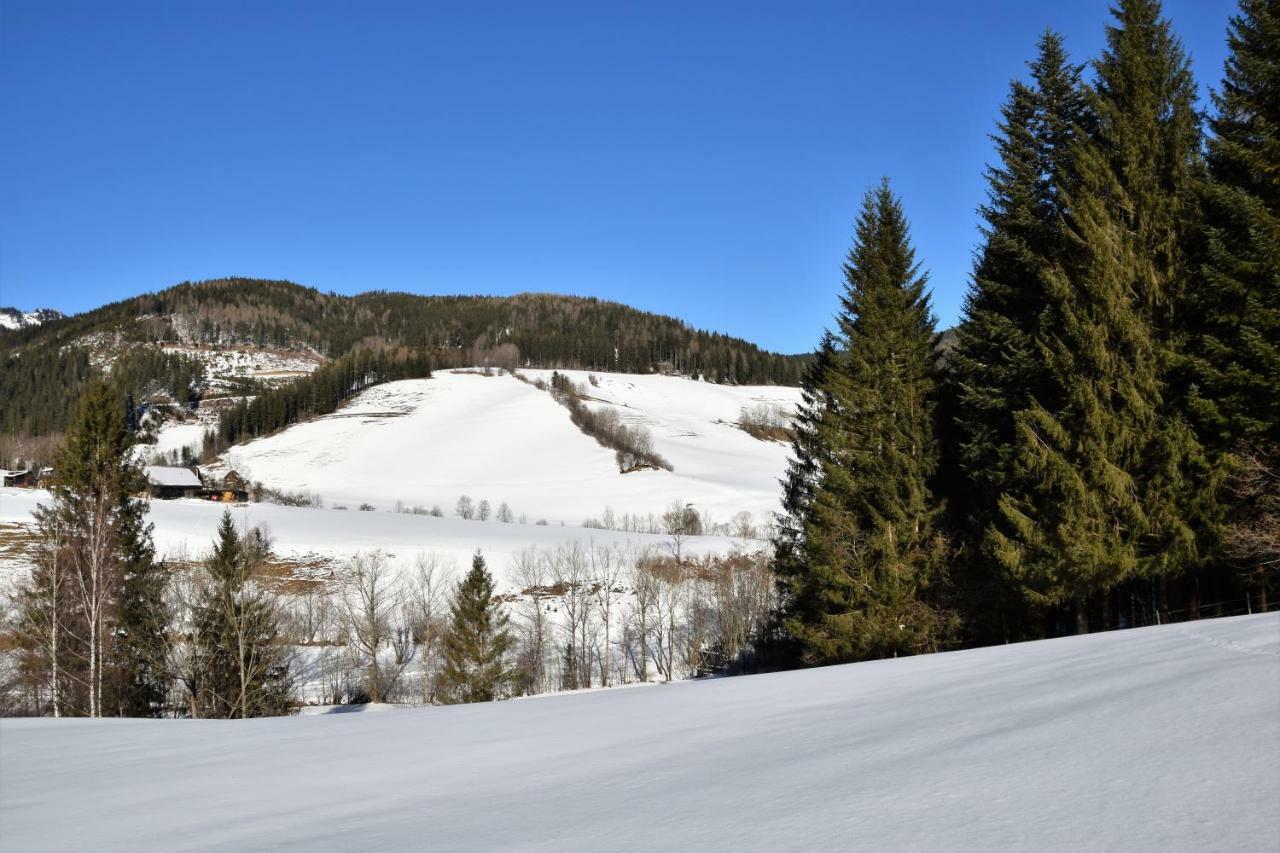 Ferienhaus Dirnbacher Huette Hotel Turnau Kültér fotó